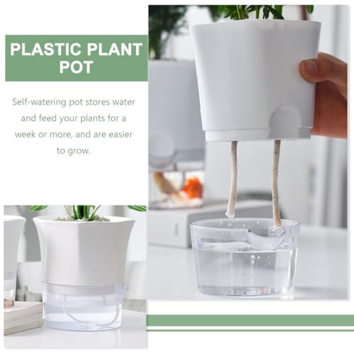 Pot de fleurs auto-irrigant grand modèle avec cordon d'absorption pour succulentes
