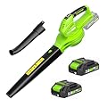 SEYVUM Cordless Leaf Blower, 20V Blower with 2 X 2.0 Ah Battery, Electric Blower for Lawn Care, 350 CFM 150 MPH Battery Powered Leaf Blower with Charger, for Patio, Garden Cleaning, Green