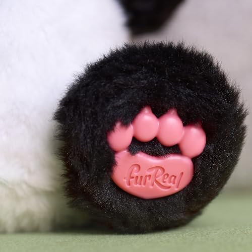 Just Play furReal Coco, der Panda, interaktives Plüschtier, über 60 Geräusche & Reaktionen, 27cm Kinderspielzeug ab 4 Jahren