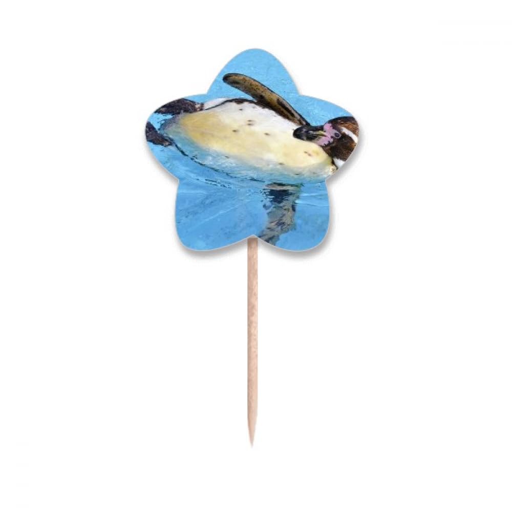 Picks cure-dents pingouin avec drapeaux étoiles lable pour buffet créatif