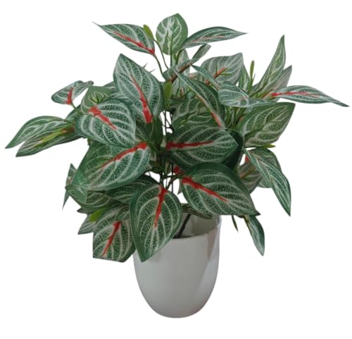 Image of Natural Looking Artificial Money Plant /Tree with Pot | Ornamental Plant for Interior Decor | Home /Shop /Office Decor (Red-Green-New)