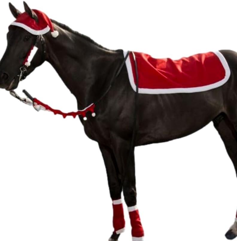 Tough 1 5 Piece Western Holiday Set Santa