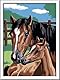 Ravensburger CreArt 28326 - Pferd mit Fohlen - Malen nach Zahlen Pferde ab 7 Jahre, Malset mit Rahmen, Pinsel und Acrylfarben, Geschenk für Mädchen und Jungen, mit Stickern