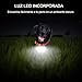 Collar de adiestramiento para Perros con Control a Distancia 300 Metros