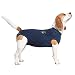 MPS Medical Pet Shirt, Hund, Blau, für XX-kleine Hunde