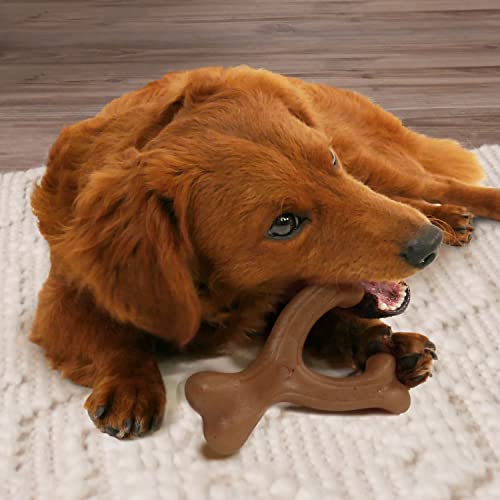 Nylabone Gourmet Style Strong Dog Chew Toy Bundle Bacon & Peanut Butter Small/Regular (2 Count) #TOP1