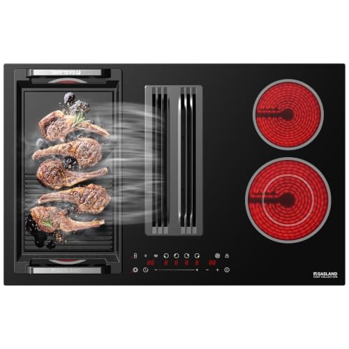 GASLAND 31.5" Downdraft Electric Cooktop, 330 CFM Vent, 220V 4 Burner