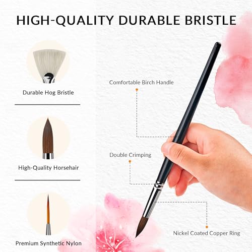 Image of Watercolor Brush Professional, 11Pcs Water Color Paint Brushes Set for Artists, Shapes with Fan, Needle Pointed, Angular, Dagger, Cats Tongue for Watercolor, Gouache, Ink Painting