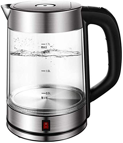 Bouilloire en acier inoxydable et verre écologique haut de gamme sans BPA pour infusion saine