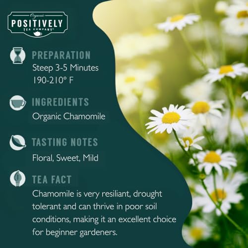 Image of Organic Positively Tea Company, Chamomile Herbal Tea Bags, 100 Count, Eco-Friendly Tea Bags, Non-GMO