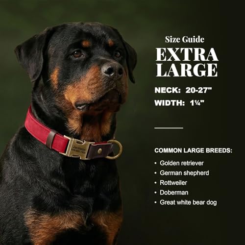 Image of Personalized PU Leather Dog Collars, Quick Release Buckle, Red,XL