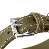 Hunter Windhundhalsband Aalborg Farbe Oliv, Robustes Softleder, ideal für Windhunde, druckverteilendes Design, Kehlkopfschonend, Made in Germany, Größe 37