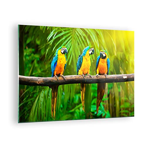 ARTTOR Vidrios decorativos Loros Collorful Naturaleza las aves Cuadro Sobre Vidrio Moderno 70x50cm Decoracion Salon Cocina Cuadros Pared Impresiones Impresión en Cristal Wall Art Prints GAA70x50-2696