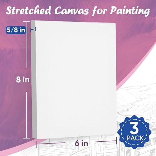 ESRICH Small Canvases for Painting 6x8, 3 Pack Stretched Canvases for Painting 5/8\" Profile Primed Acid Free Painting Canvas for Kids for Oil Paint, Watercolor, Acrylic Paint, Gouache, Tempera.