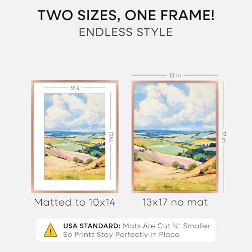 Image of Homeforia 13x17 Rose Picture Frame, High-End Metal, 10x14 Mat, Glass | High End Aluminum, Tempered Glass, Acid-Free 10x14 Removable Mat, 13x17 in Edge-to-Edge Display 17x13, Wall Kit, Set Of 1