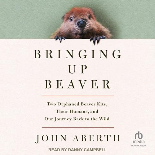 Bringing Up Beaver Audiolibro Por John Aberth arte de portada
