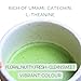 Satoen Authentic Japanese Ceremonial Grade Matcha Powder 1.76oz (50g) - Ceremonial Grade Green Tea Powder from Spring First Harvest - Made in Japan for Matcha Usucha, Straight or Latte