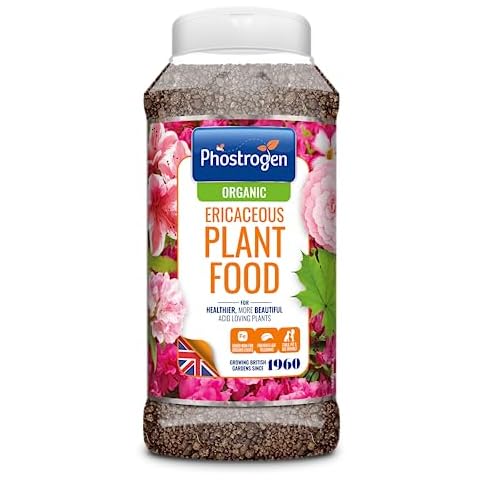 Phostrogen Ericaceous Plant Food for Acid-Loving Plants Cover