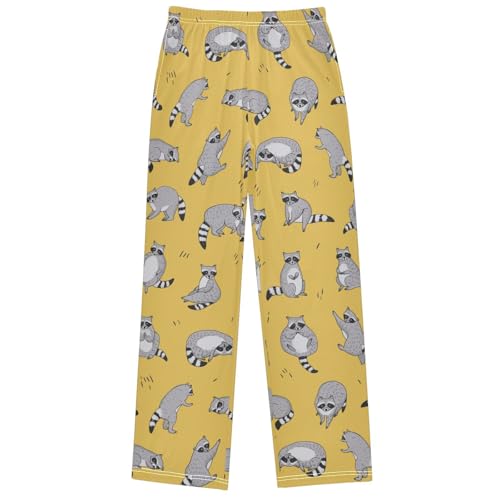 Boy's Pants Raccoon Funny Animal Jogger Pants Elastic Waist Long Bottoms Trousers with Pockets 6-14 Years