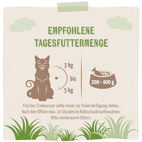 MjAMjAM - Premium Nassfutter für Katzen - Probierpaket Purer Fleischgenuss 1 125g, 12er Pack (12 x 125g), naturbelassen mit extra viel Fleisch