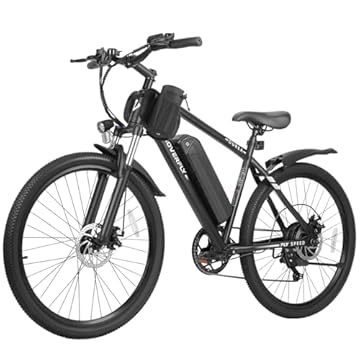 best budget commuter ebike