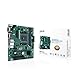 ASUS PRO A520M-C II/CSM Business Mainboard Sockel AMD AM4 mATX, LPC Debug Header, ASUS Control Center Express, unterstützt SMBUS-Header, Remote IT Management Center II günstig Kaufen-ASUS PRO A520M-C II/CSM Business Mainboard Sockel AMD AM4 mATX, LPC Debug Header, ASUS Control Center Express, unterstützt SMBUS-Header, Remote IT Management