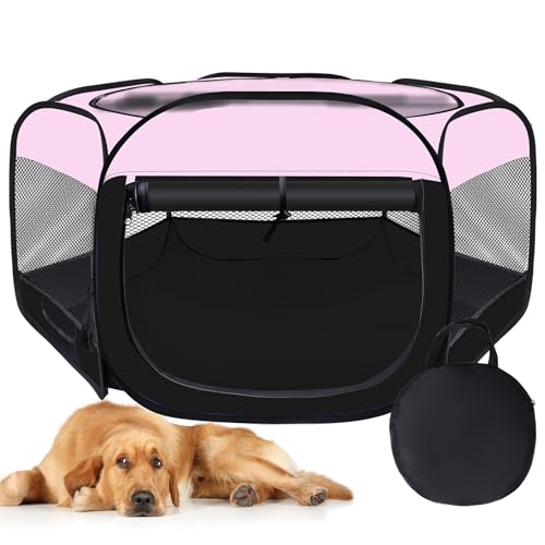  L xr[T[NA|[^u ybg q xr[T[N ETM q vCy p peg qL xr[T[N ܂肽ݎ ^L N[g P[W L[P[Xt (sNAL)