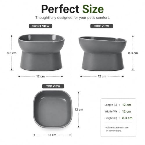Image of Kipenzi Elevated Pet Bowl for Cats & Small Dogs | Food Grade Feeding Bowl | Raised Ergonomic Design | Stable & Easy to Clean | Modern Food & Water Bowl | Grey (Pack of 2)