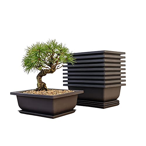 Bonsai Training Pots Humidity Trays - Built in Mesh, 6-Inch Large Planters + Made from Durable...