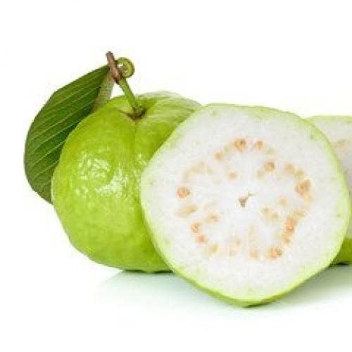 Image of Guava, Amrud, Amrood, Madhuri Aam, Psidium Guava Seed for Farming, Gardening (100g)