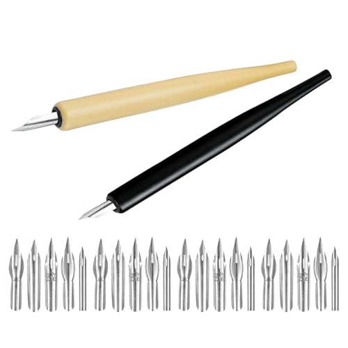 Healvian Plumas de Inmersión con Soporte de Madera para Caligrafía y Dibujo, 2 Piezas (transparente y Negro) con 20 Puntas Reemplazables para Cómic, Manga y Lettering Artístico
