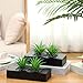 Hotop 2 Pcs Artificial Green Grass Plants in Wood Decorative Planter Pot Wooden Faux Greenery Rectangle Box Table Plant for Tabletop Centerpiece Indoor Decor(9.5 Inch,Black)