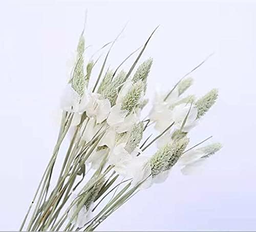 Thecookie 20Pcs Real Plants Pampas Grass Combination Artificial Dried Flowers Bouquet Wedding Nordic Style Home Decor Easter Decoration