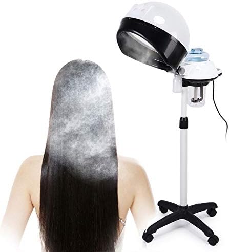 best professional hair steamer