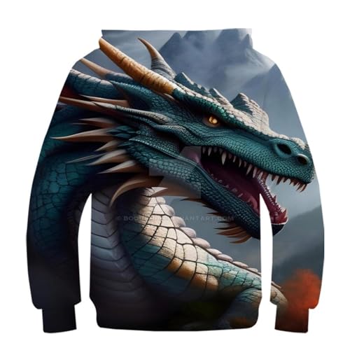 Sweat à capuche enfant imprimé 3D dragon pull cool et drôle manches longues