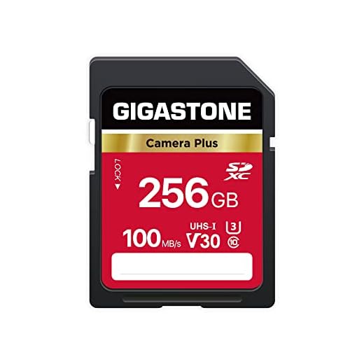 GIGASTONE 256GB High-Speed SD Card