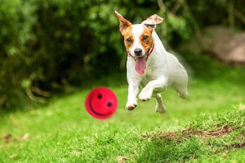 Happet Smiley Ball 57mm Rosa - Schaumstoff-Hundeball, weiches und sicheres Apportierspielzeug, leicht und federnd, mit Smiley-Motiv, gut sichtbarer pinkfarbener Ball für mittelgroße Hunde