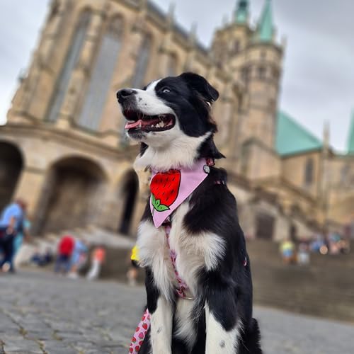 Max & Molly Wendehalstuch aus Stoff für Hunde und Katzen, um Bandana sicher an Ort und Stelle zu halten (rosa Erdbeeren, Mittelgroß)