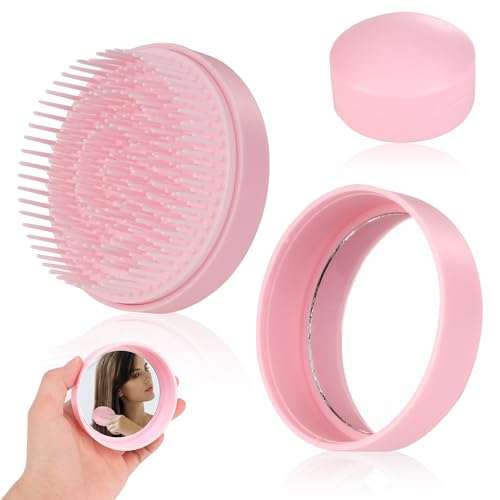 Pocket Hair Brush with Mirror Portable Frizz Ease Detangling Hairbrush Small Portable Mini Round Hair Brush Tangle Teaser Massage Comb for Women Kids Girls Pink Compact Hairbrush Size for Travel