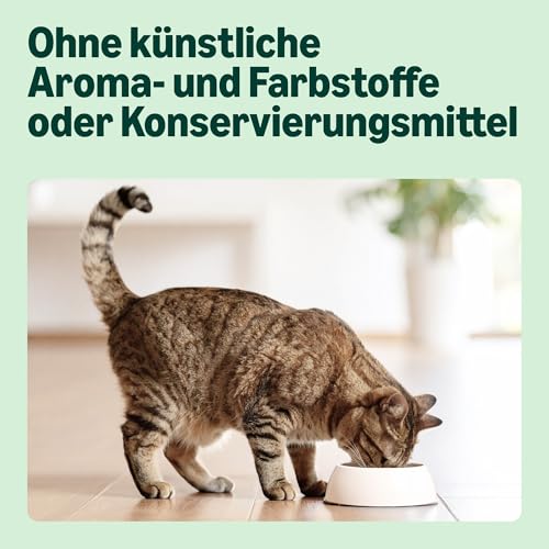 by Amazon – Vollwertiges Katzentrockenfutter mit Huhn, Pute und Gemüse, 1 Packung à 3,0kg (zuvor Our Essentials)