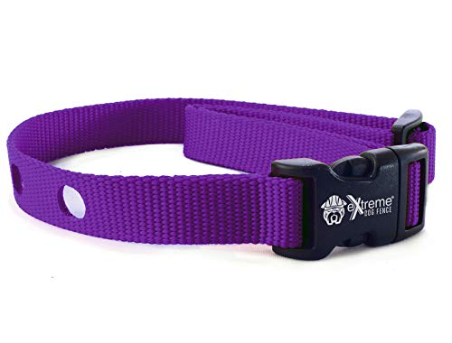 Extreme Dog Fence Dog Collar Replacement Strap - Purple - Compatible With Nearly All Brands And Models Of Underground Dog Fences #TOP9