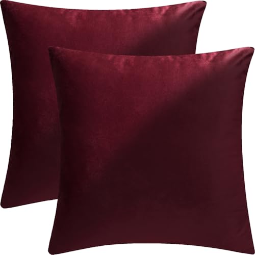 Bunliuys 2 Pack 18x18 Pillow Cover Velvet Pillow Covers Throw Pillow Covers for Living Room Decorations Throw Pillow Case Throw Pillow Cover Cushion Cover for Sofa Bedroom Car Burgundy Red Velvet