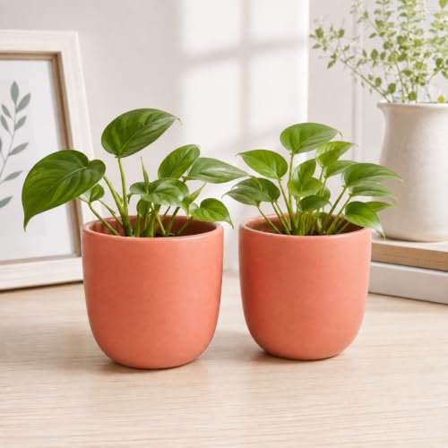 Image of ecofynd 5 Inch Ceramic Plant Pots with Drainage Hole, Modern Decorative Clay Flower Pots for Indoor Plants, Home Garden Decor for Living Room, Bedroom & Interior Spaces (Pack of 2, CPOT041-PNK)