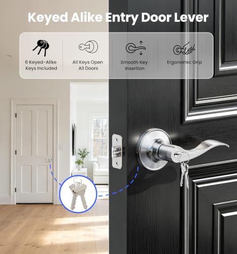 Veise 2 Pack Keyed Alike Entry Door Handles with Locks & Keys, Satin Nickel by Veise - Used condition - Image 2