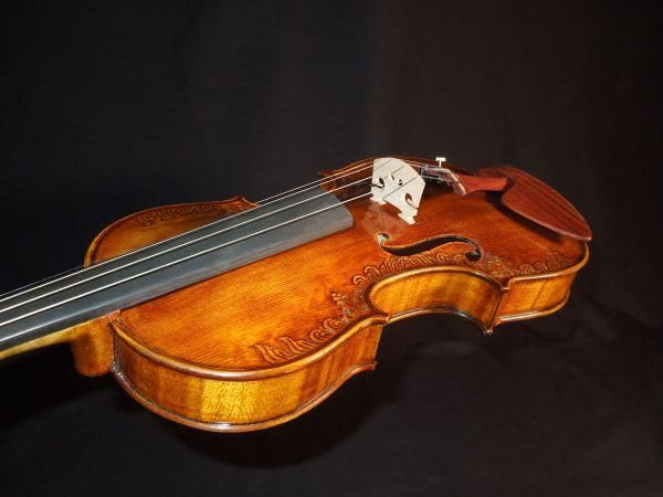Amazon.com: Craved Master Violin 44 : Instrumentos Musicales