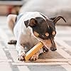 The safest All-Natural Cheese Chews - Large (Pack of 4) - NO Chunks, NO preservatives, NO Bad Smell, Great Teeth Cleaner, Super Long-Lasting #5