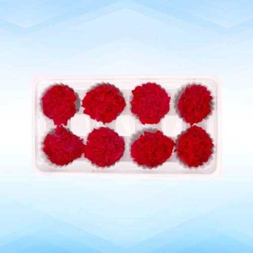 Set 8 flores eternas clavel rojo 5x3x5cm miniatura 6