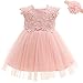 Robes de Baptême pour les Filles de BéBé Robes de Princesse Fête D'anniversaire Robes Formelles 0-24 Mois, Rose, 12M/12-16mois