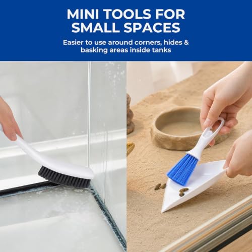 Limpiador de platillos de reptiles y pinzas de alimentación para mantenimiento de gecko 6