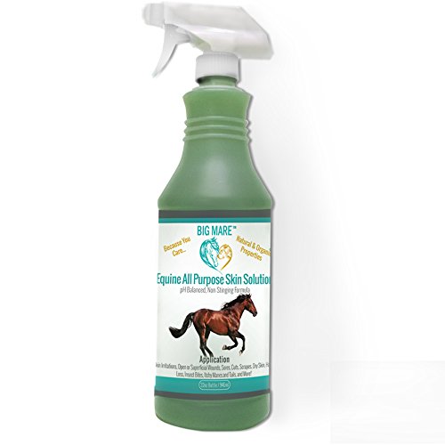 Big Mare All Purpose Horse Skin & Wound Care | Clinically Approved Formula | First Aid: For Girth Itch, Crud, Itchy Manes & Tails & Hair Loss | 32Oz Bottle Veterinarian Approved & Recommended #TOP27